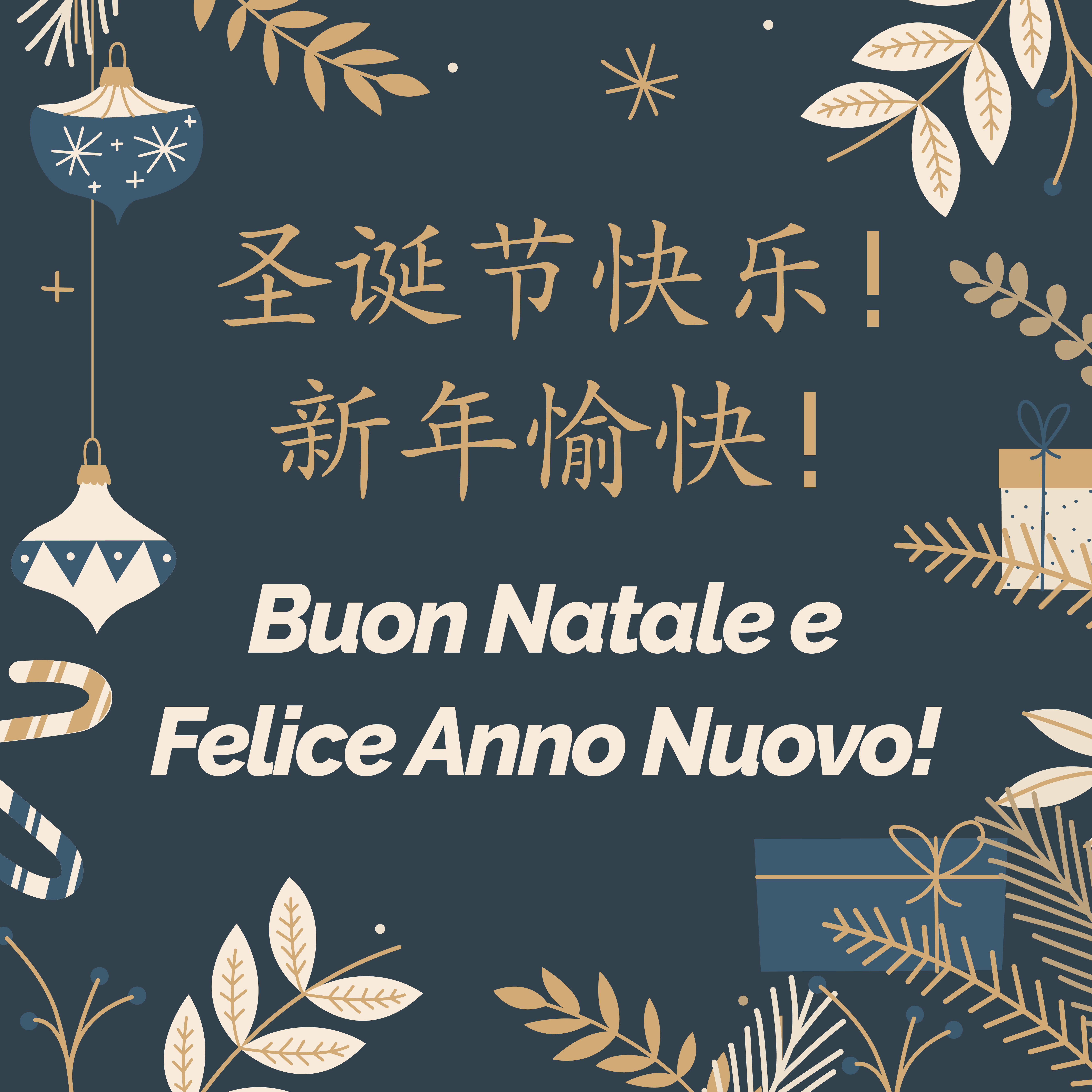 Chiusura sede per festività natalizie | 圣诞节日